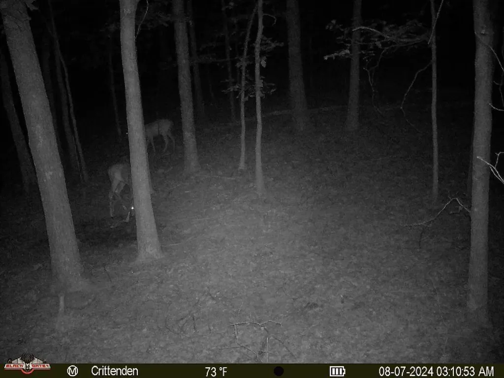 41.15 Acres State Highway 506 Marion KY 42064