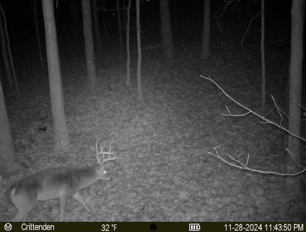 41.15 Acres State Highway 506 Marion KY 42064