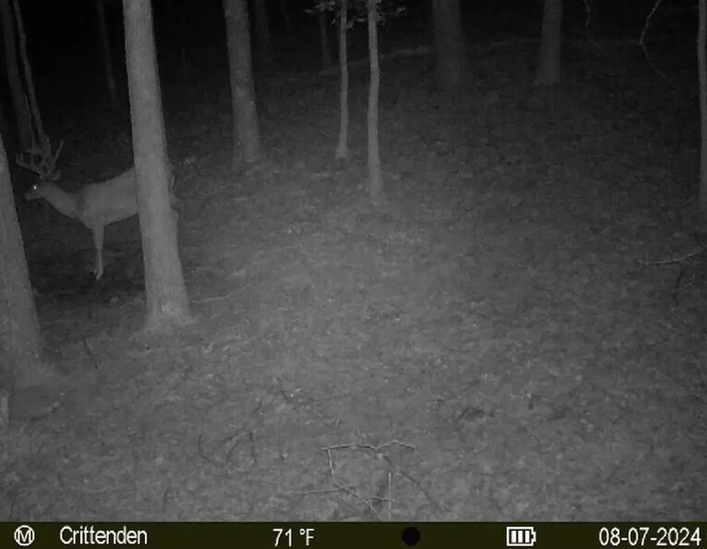 41.15 Acres State Highway 506 Marion KY 42064