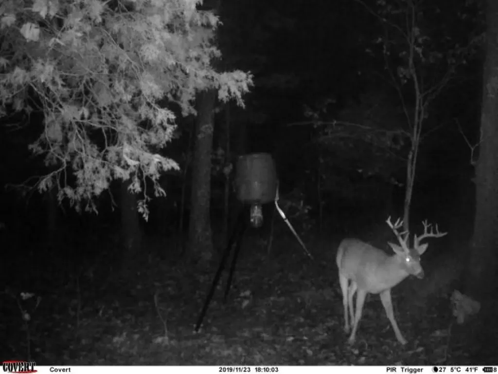 41.15 Acres State Highway 506 Marion KY 42064