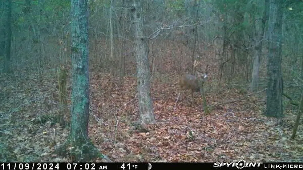 41.15 Acres State Highway 506 Marion KY 42064