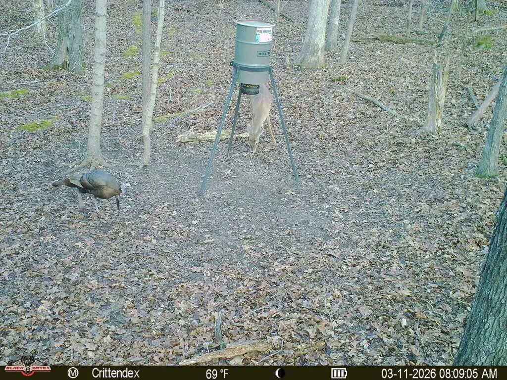 41.15 Acres State Highway 506 Marion KY 42064