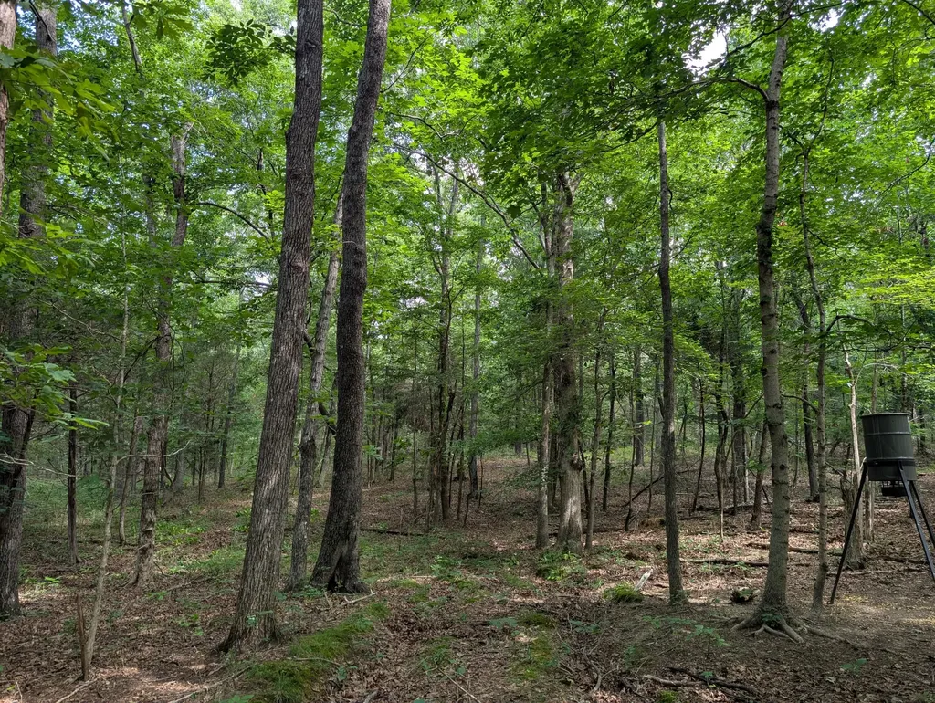 41.15 Acres State Highway 506 Marion KY 42064