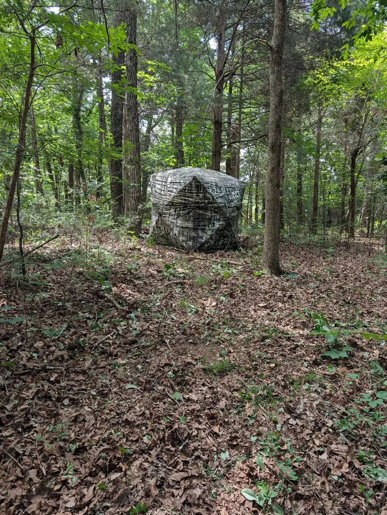 41.15 Acres State Highway 506 Marion KY 42064