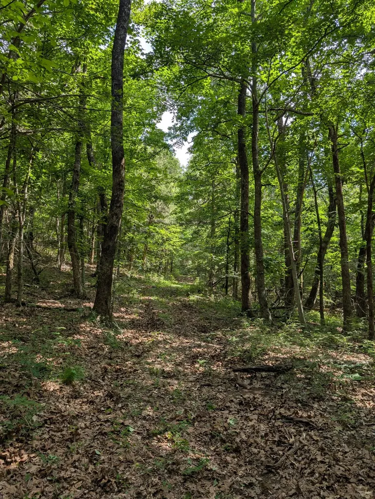 41.15 Acres State Highway 506 Marion KY 42064