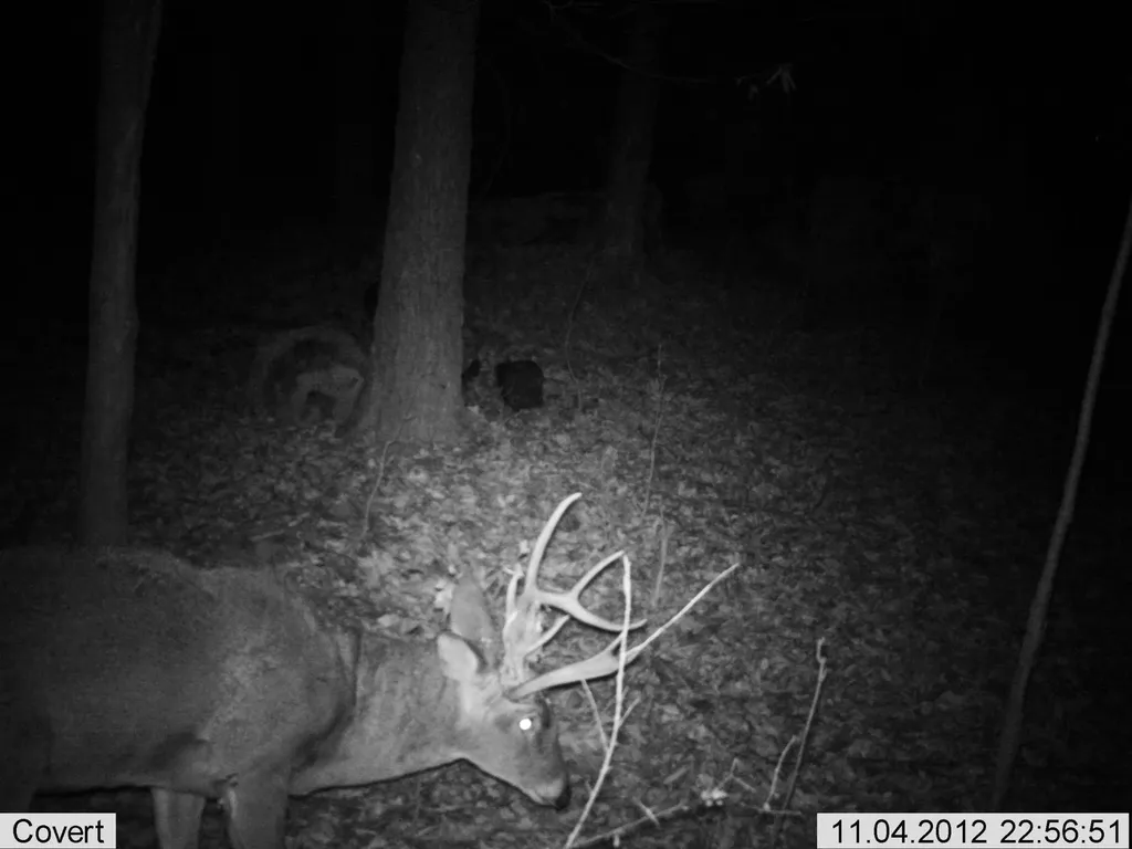 41.15 Acres State Highway 506 Marion KY 42064