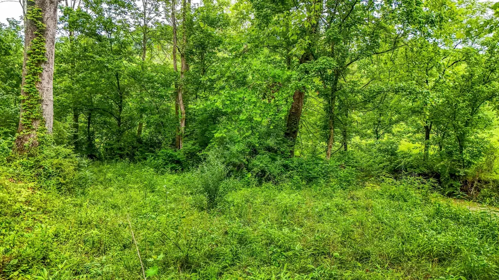 684 Lower Twin Road Jackson KY 41339