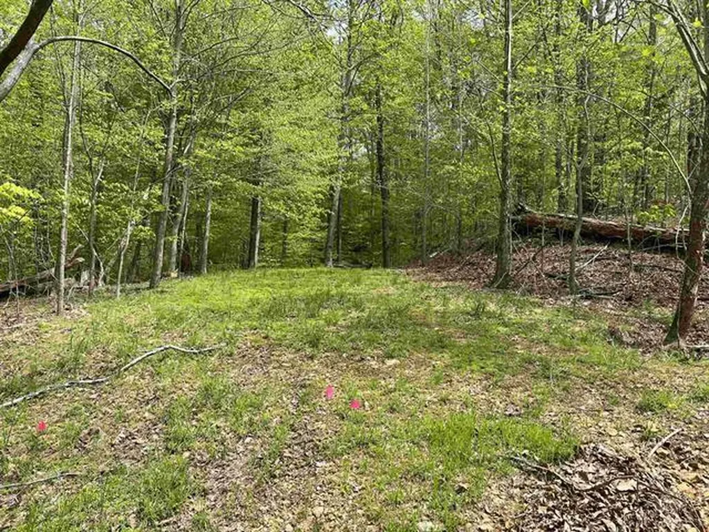 000 Blake Road Eddyville KY 42038