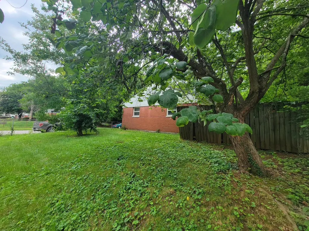 1959 Mark Avenue Lexington KY 40511