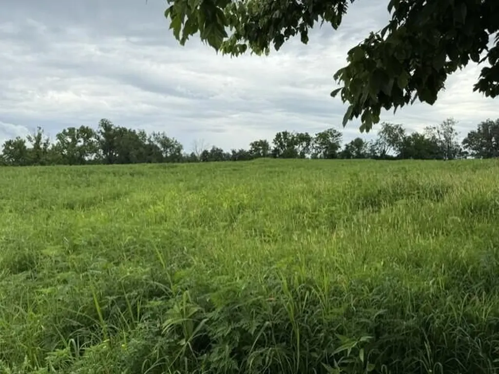 665 Lillies Ferry Road Winchester KY 40391