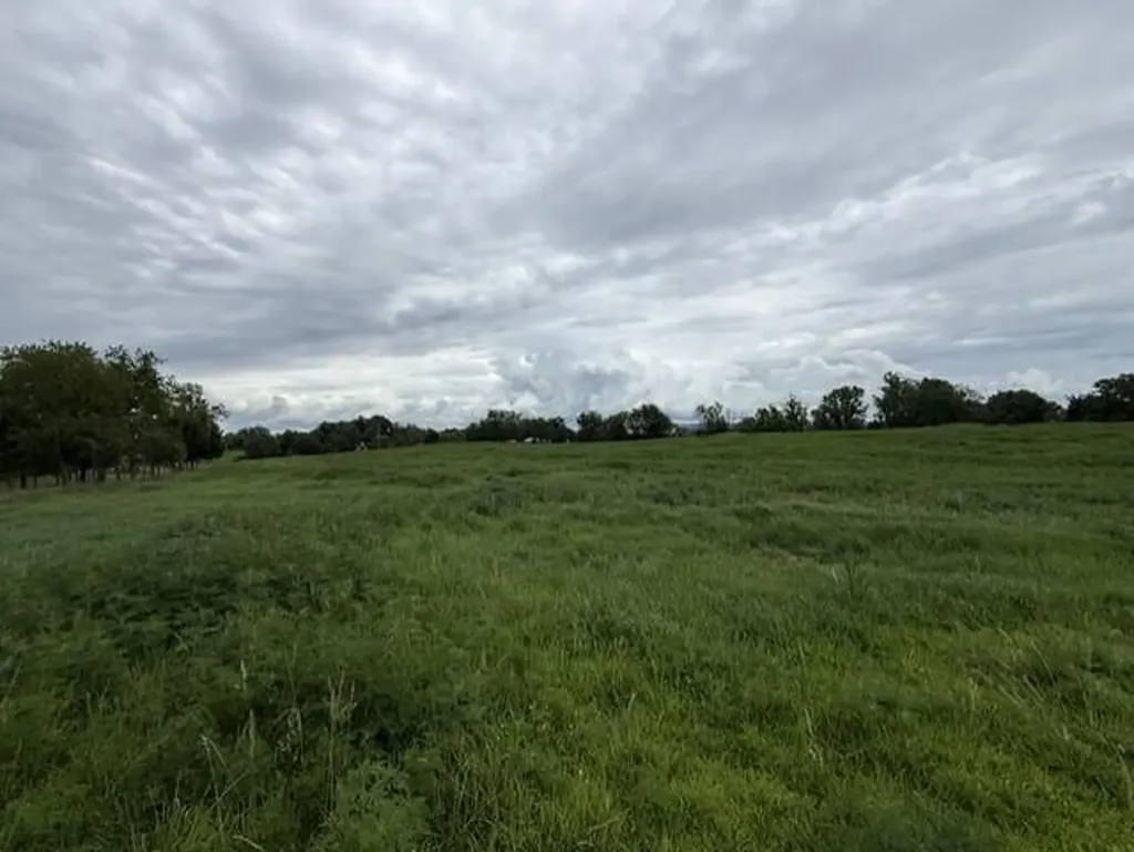 665 Lillies Ferry Road Winchester KY 40391