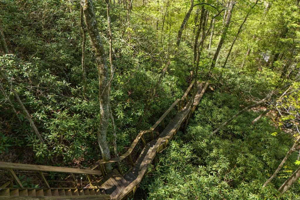 100 Cr-1129 Stanton KY 40380