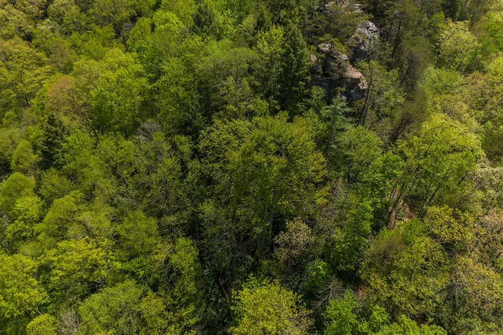 100 Cr-1129 Stanton KY 40380