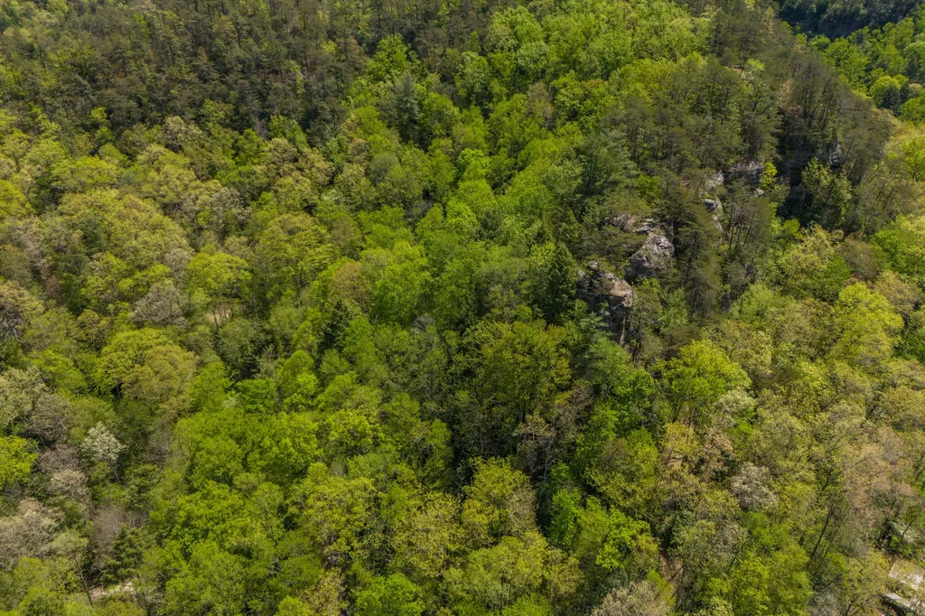100 Cr-1129 Stanton KY 40380
