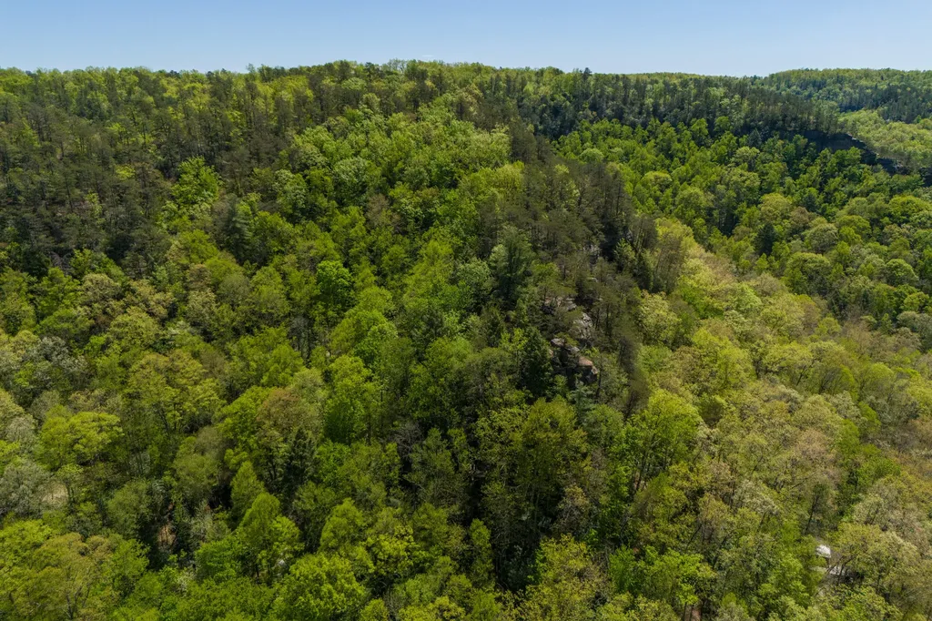 100 Cr-1129 Stanton KY 40380