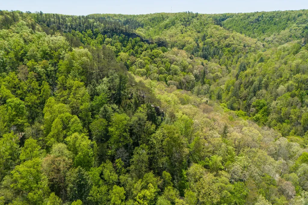 100 Cr-1129 Stanton KY 40380