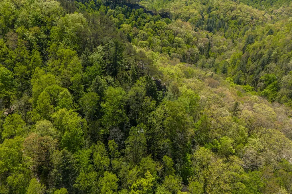 100 Cr-1129 Stanton KY 40380