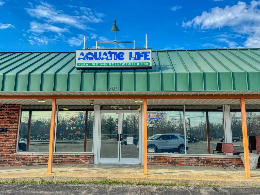 808 Chestnut Street Murray KY 42071