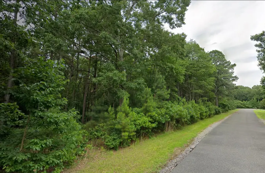 Lot 91 Streetland Lane Murray KY 42071