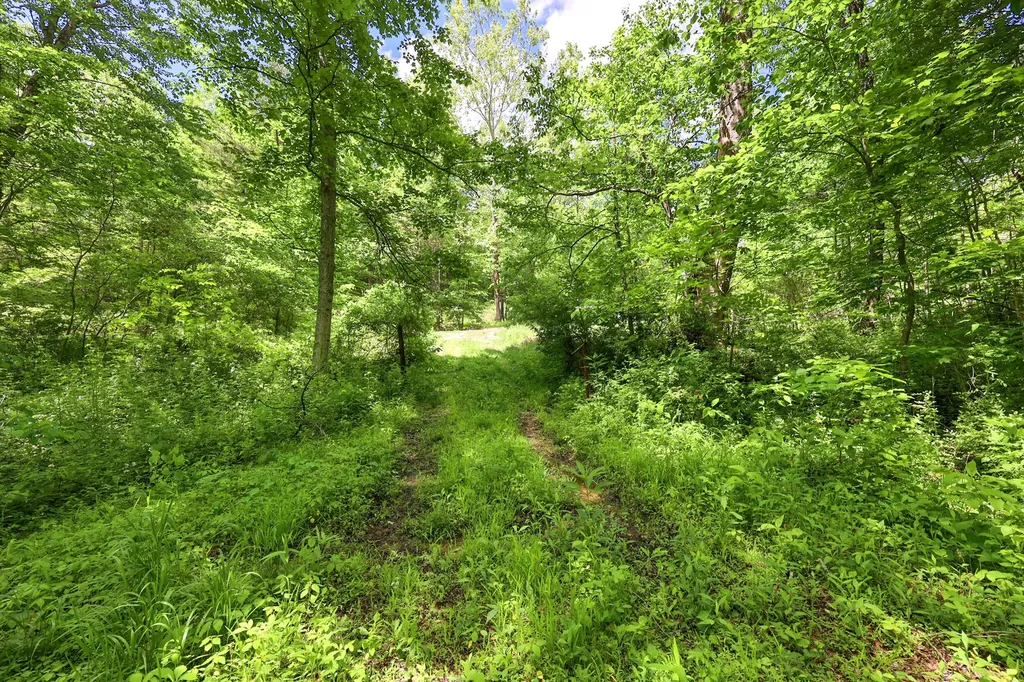 9999 Long Branch Road London KY 40741
