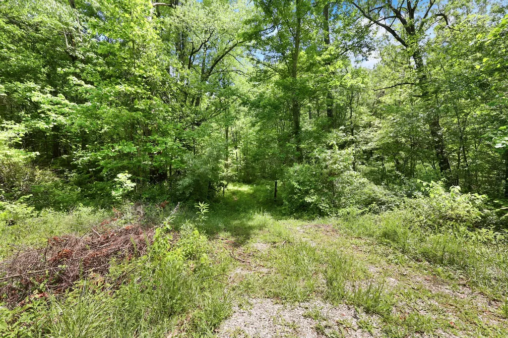 9999 Long Branch Road London KY 40741