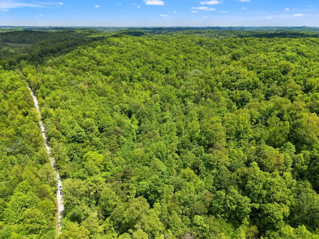 9999 Long Branch Road London KY 40741