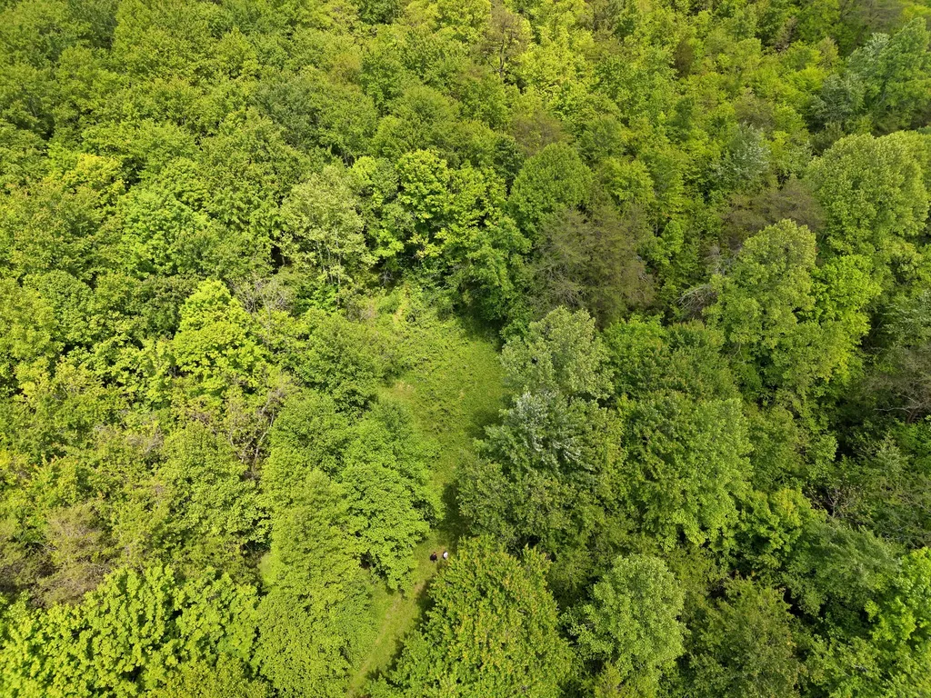 9999 Long Branch Road London KY 40741