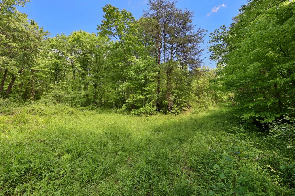 9999 Long Branch Road London KY 40741