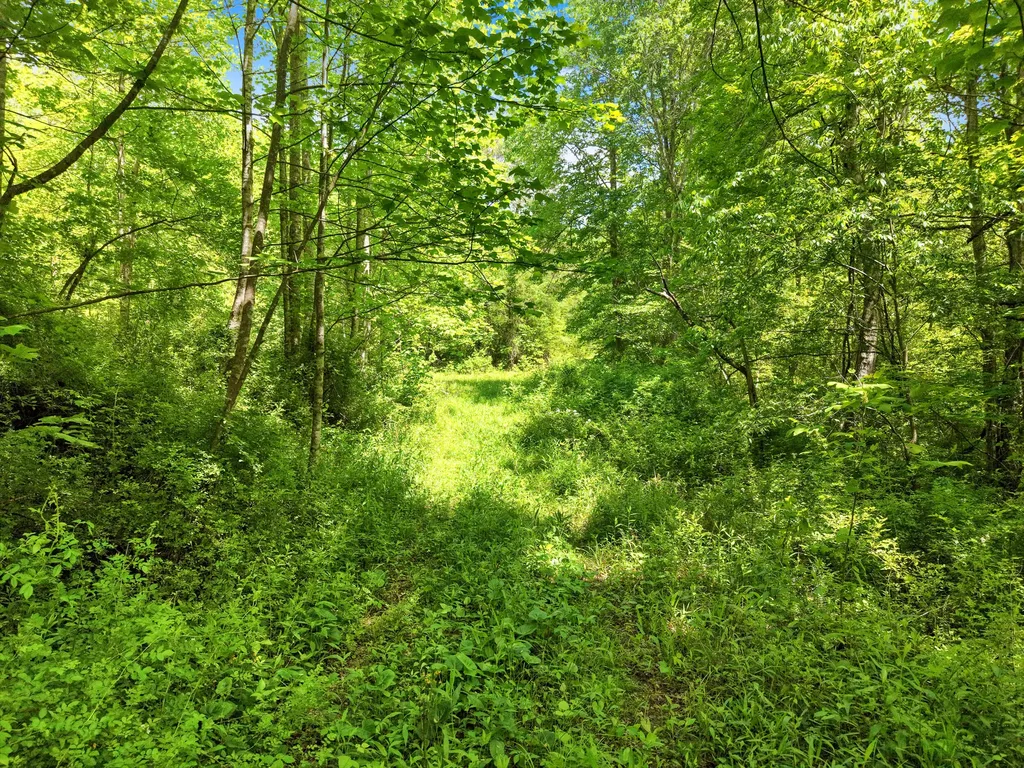 9999 Long Branch Road London KY 40741