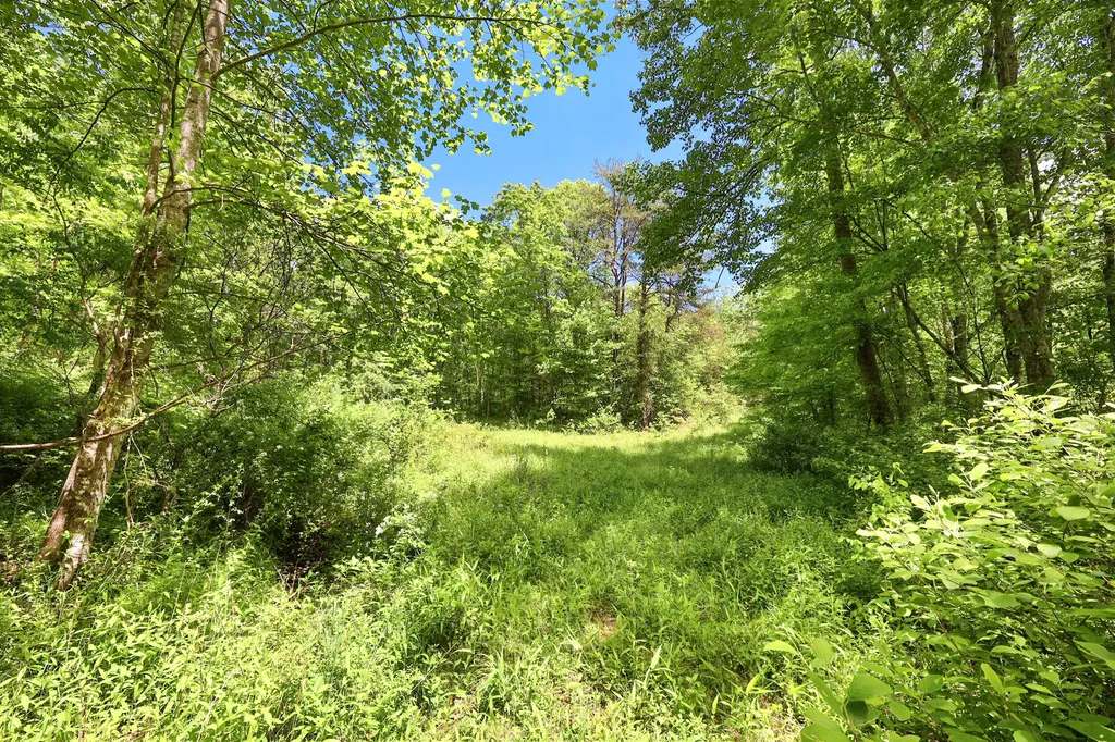 9999 Long Branch Road London KY 40741
