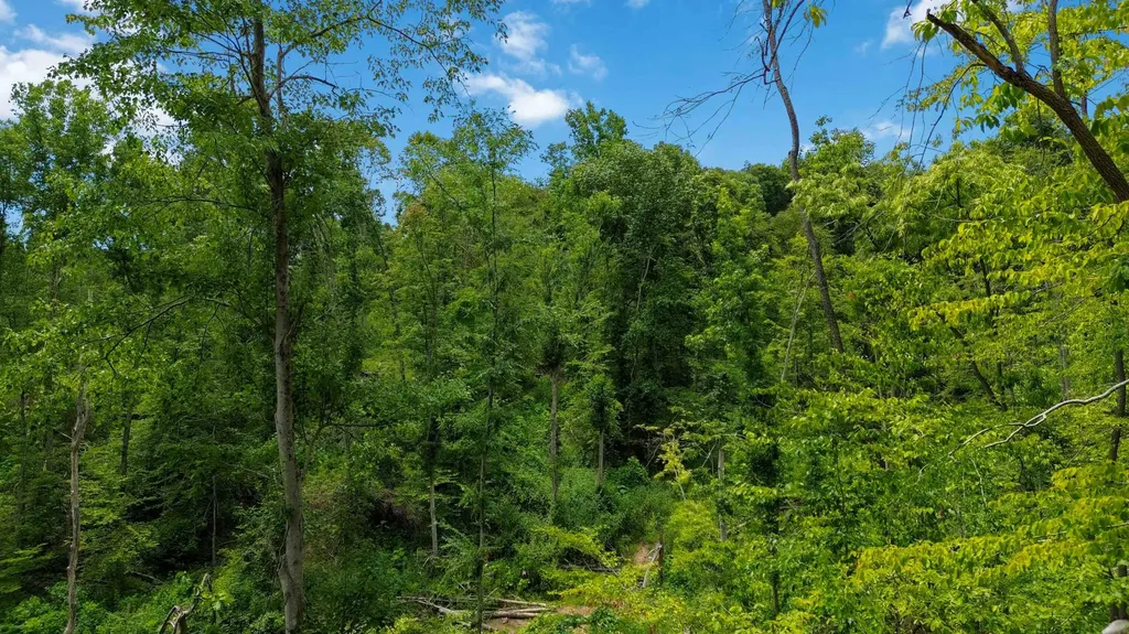 999 Happy Hollow Road Williamsburg KY 40769