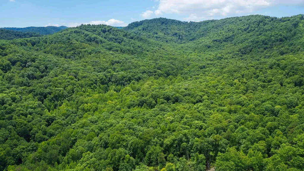 999 Happy Hollow Road Williamsburg KY 40769
