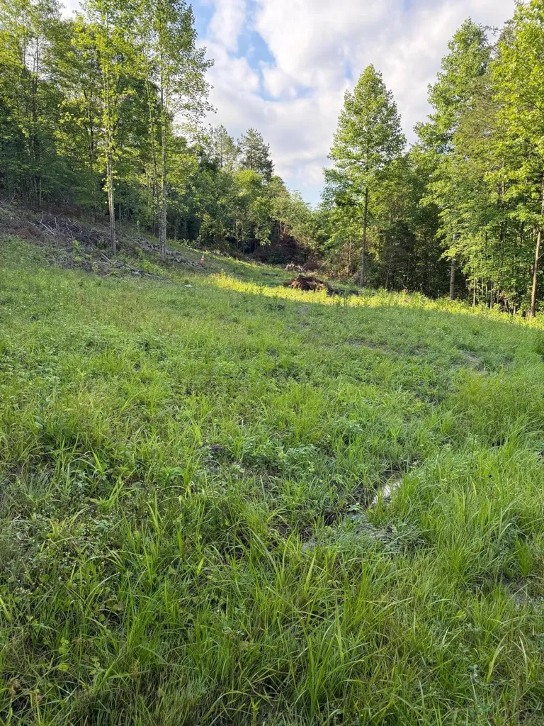 110 Dean Road Mckee KY 40447