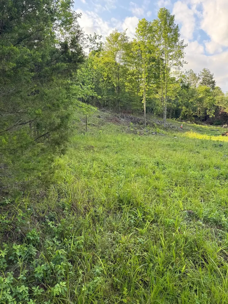 110 Dean Road Mckee KY 40447