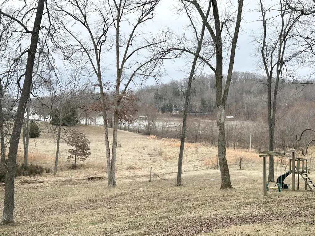 97 Partridge Point Cadiz KY 42211