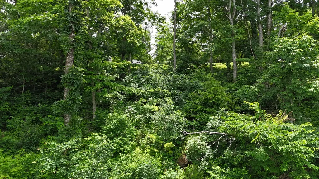 Lot 7 View Point Subdivision Point Jamestown KY 42629