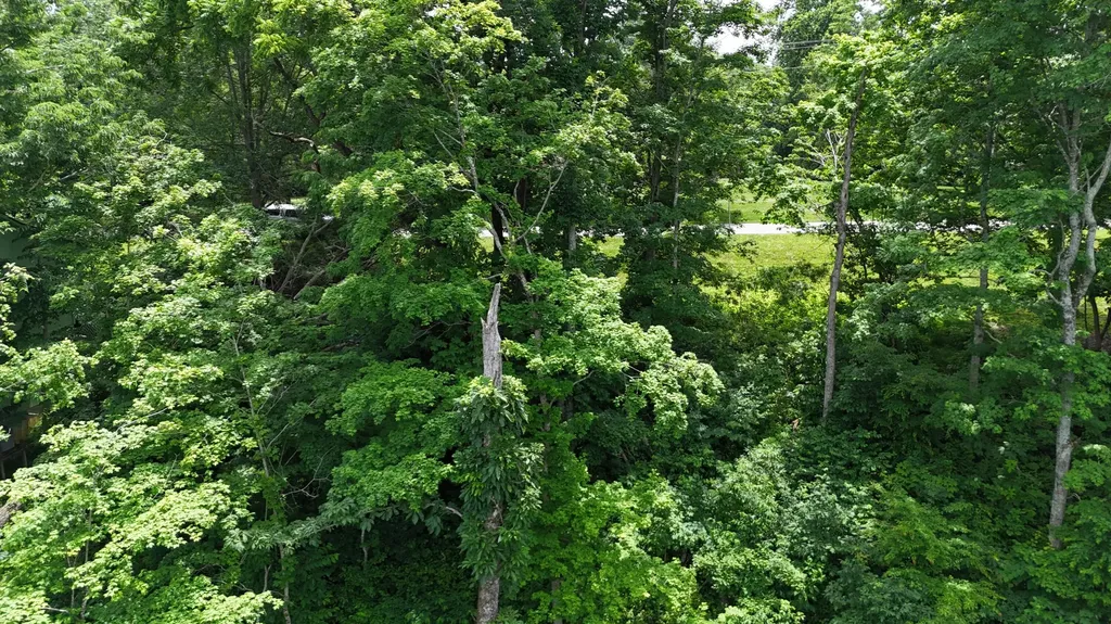 Lot 7 View Point Subdivision Point Jamestown KY 42629
