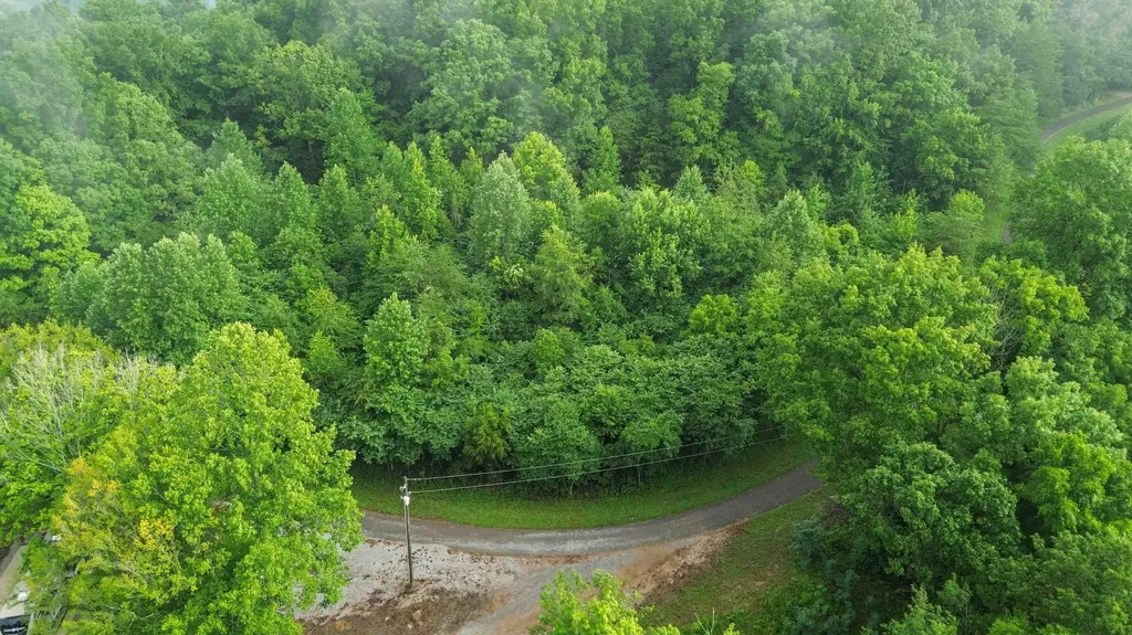 911 Bradley Road Albany KY 42602