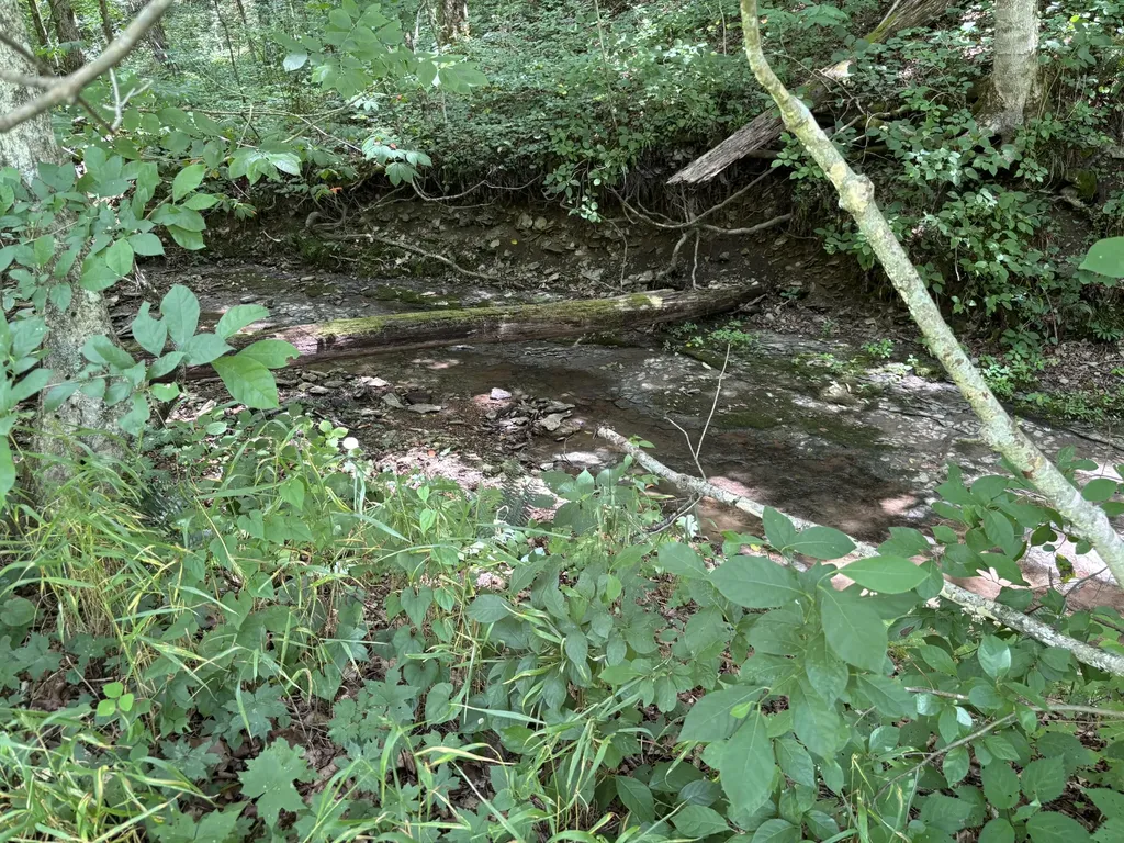 13019 Kentucky 70 Yosemite KY 42566