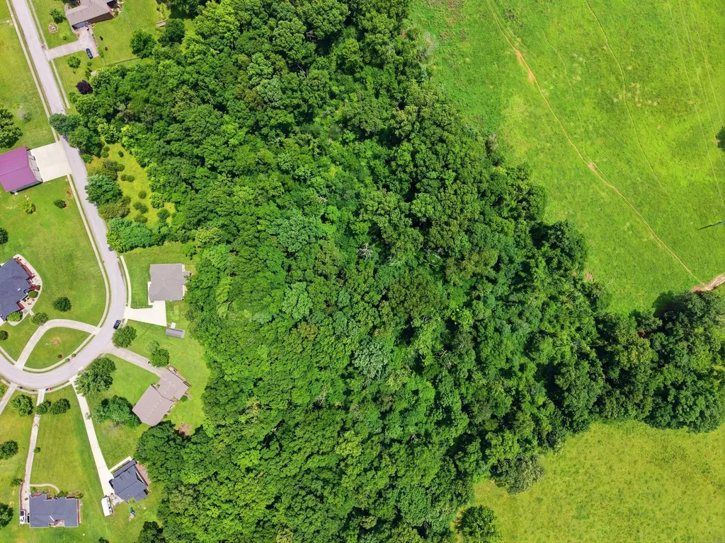 256 Waco Heights Waco KY 40385