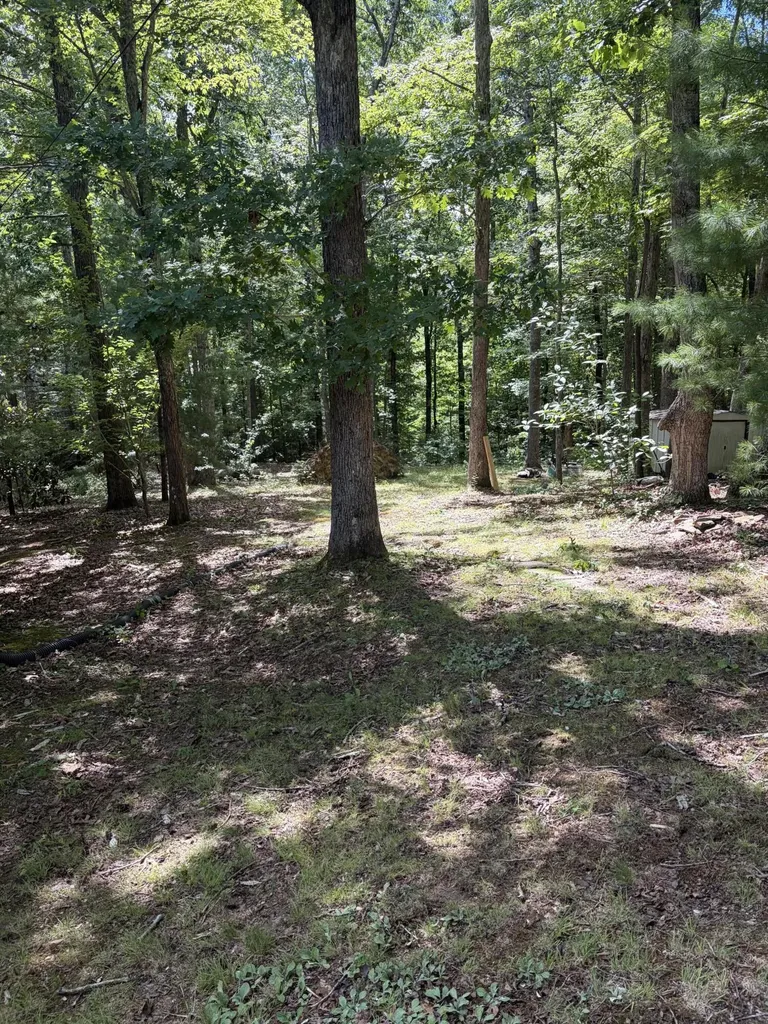 90 Stephen Road Wellington KY 40387