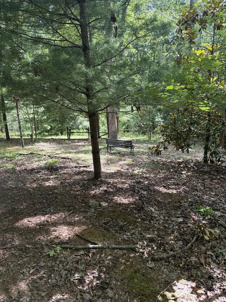 90 Stephen Road Wellington KY 40387