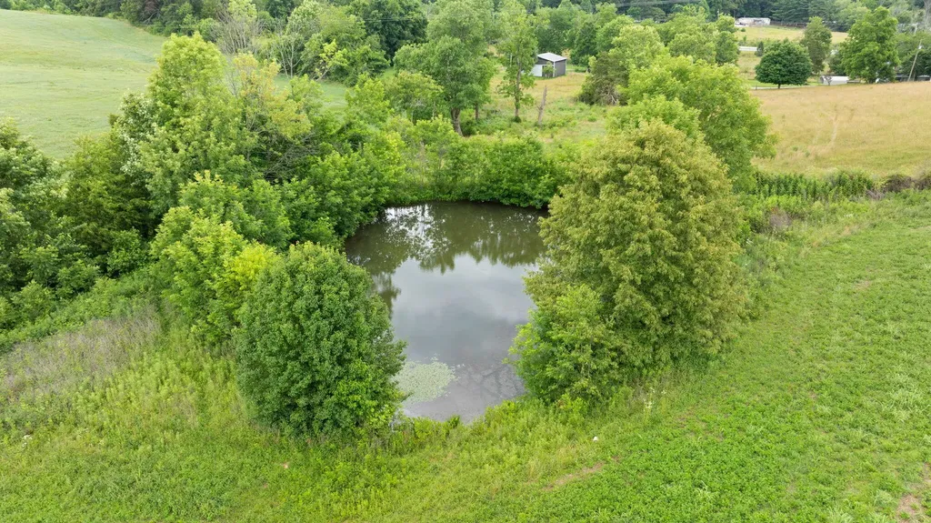 8336 N Highway 1247 Science Hill KY 42553