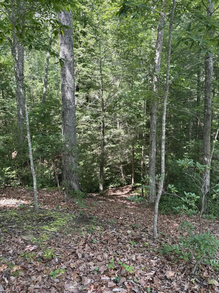 100 Cowboy Lane Wellington KY 40387