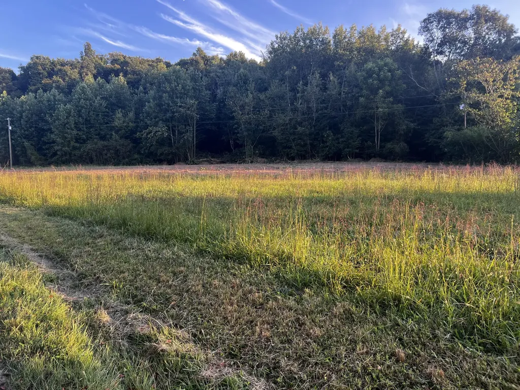 2240 Patty Ridge Road Russell Springs KY 42642