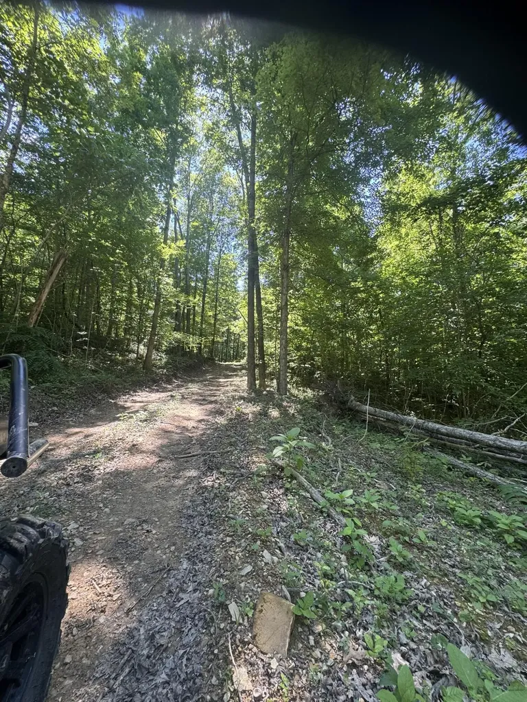 2240 Patty Ridge Road Russell Springs KY 42642