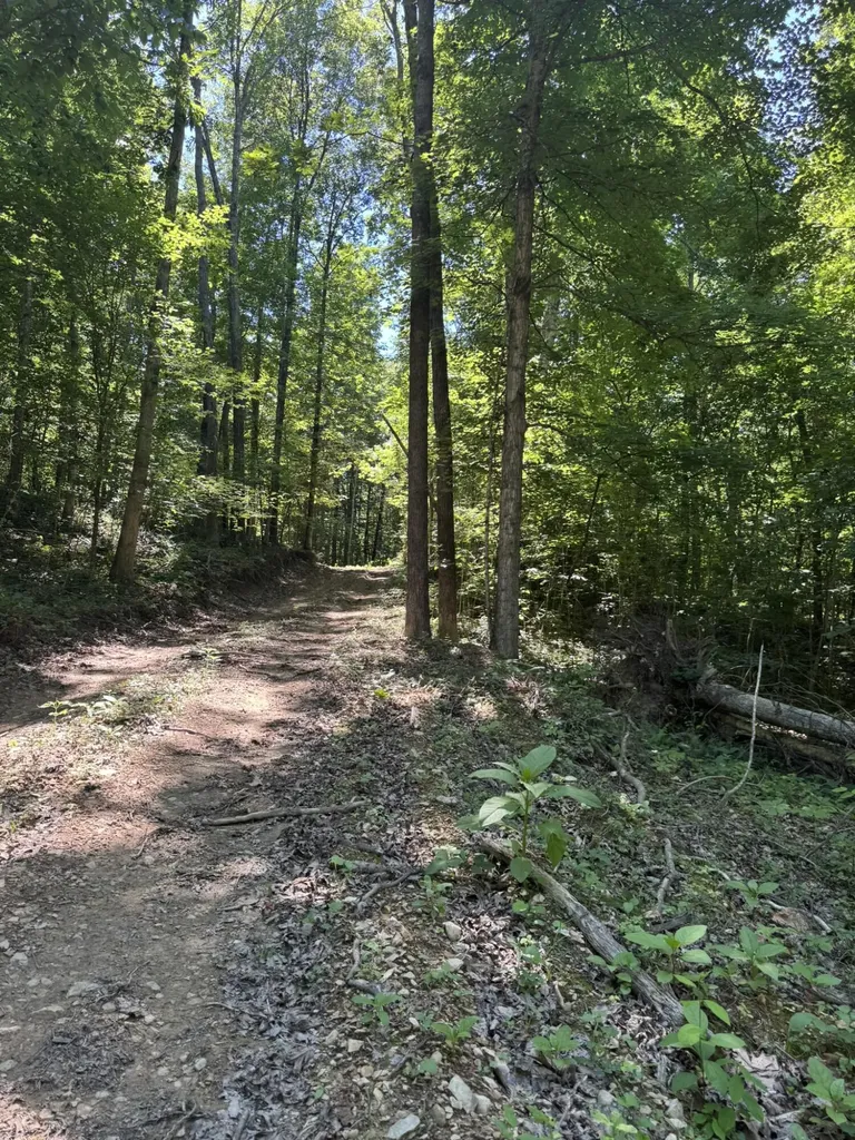 2240 Patty Ridge Road Russell Springs KY 42642