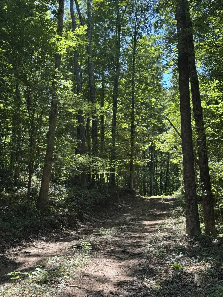 2240 Patty Ridge Road Russell Springs KY 42642
