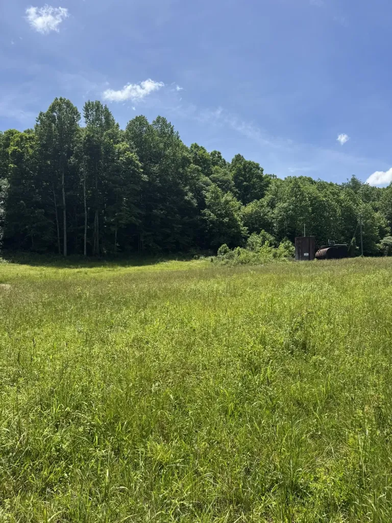 2240 Patty Ridge Road Russell Springs KY 42642