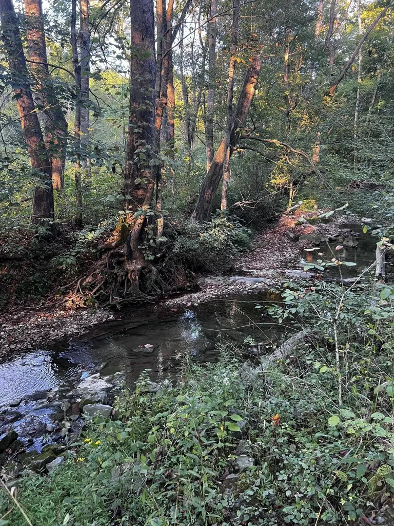2240 Patty Ridge Road Russell Springs KY 42642